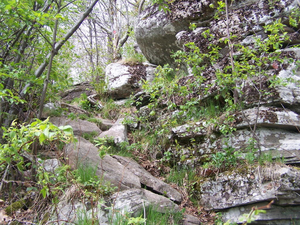 Photo: One Steep Part of the Trail