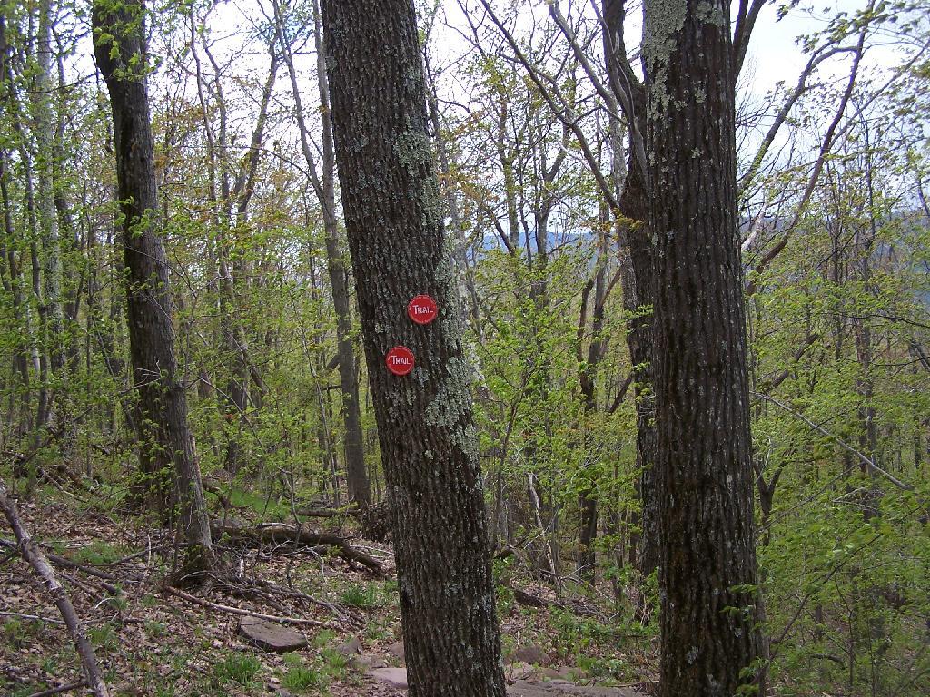 Photo: One of Many Switchbacks on Trail