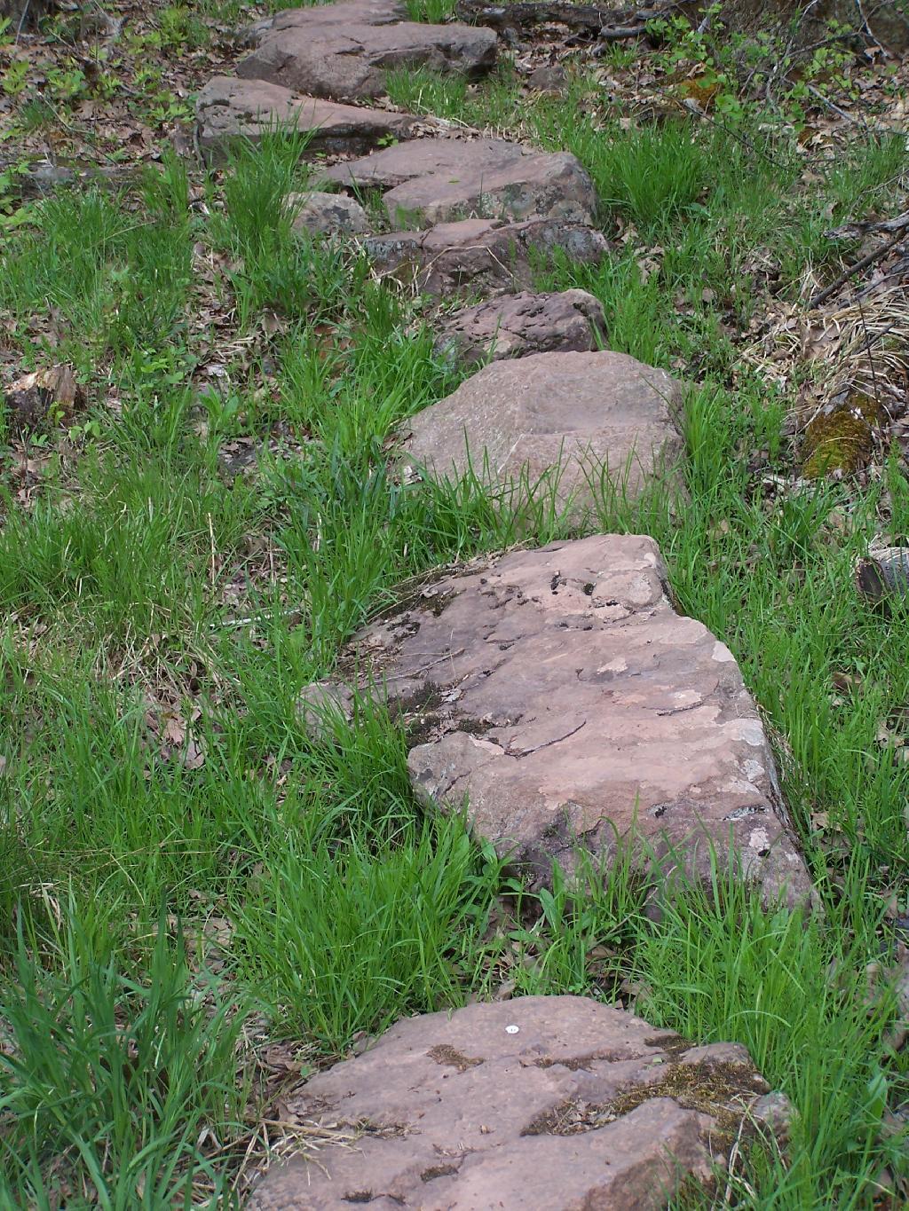 Photo: Stones Cross Soggy Section of Trail