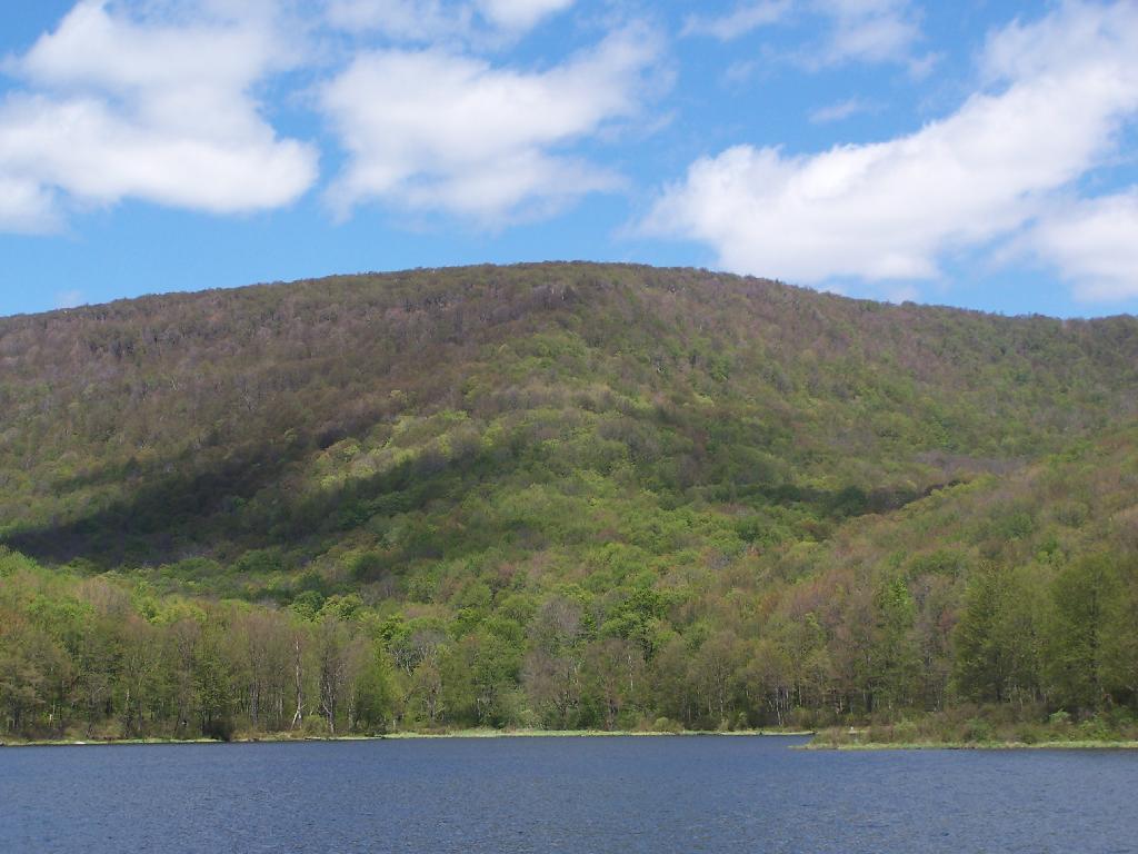 Photo: Mill Brook Range from Alder Lake