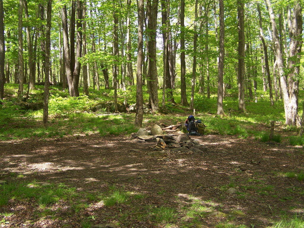Photo: The Campsite