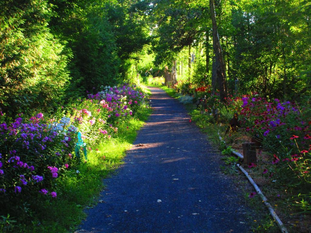 Photo: Butterfly Garden along the Cycleway