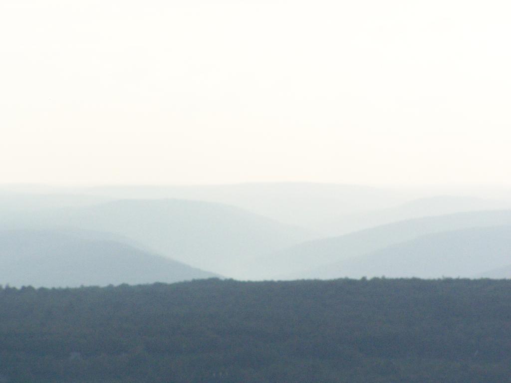 Photo: Rossman Hills in the Fog