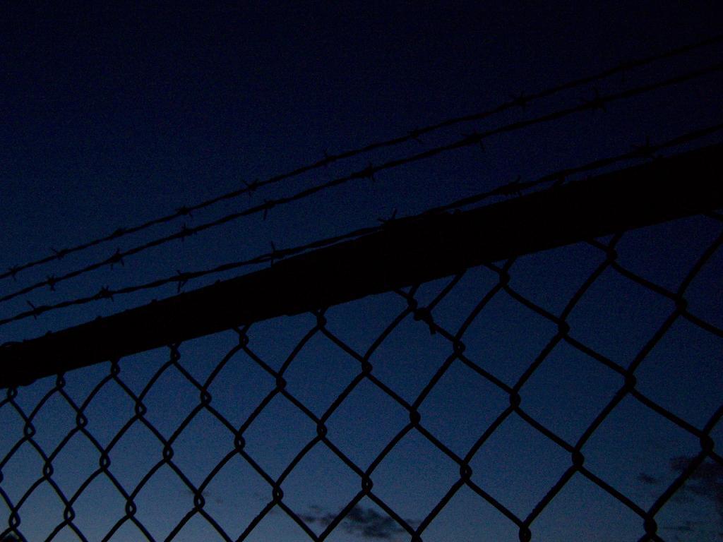 Photo: Dog Run Fence
