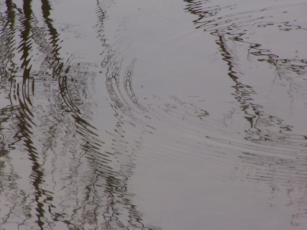 Photo: Water