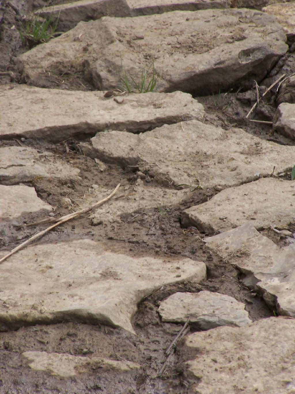 Photo: Mud
