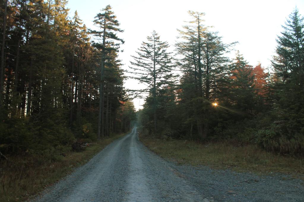 Photo: Morning in Canaan Heights