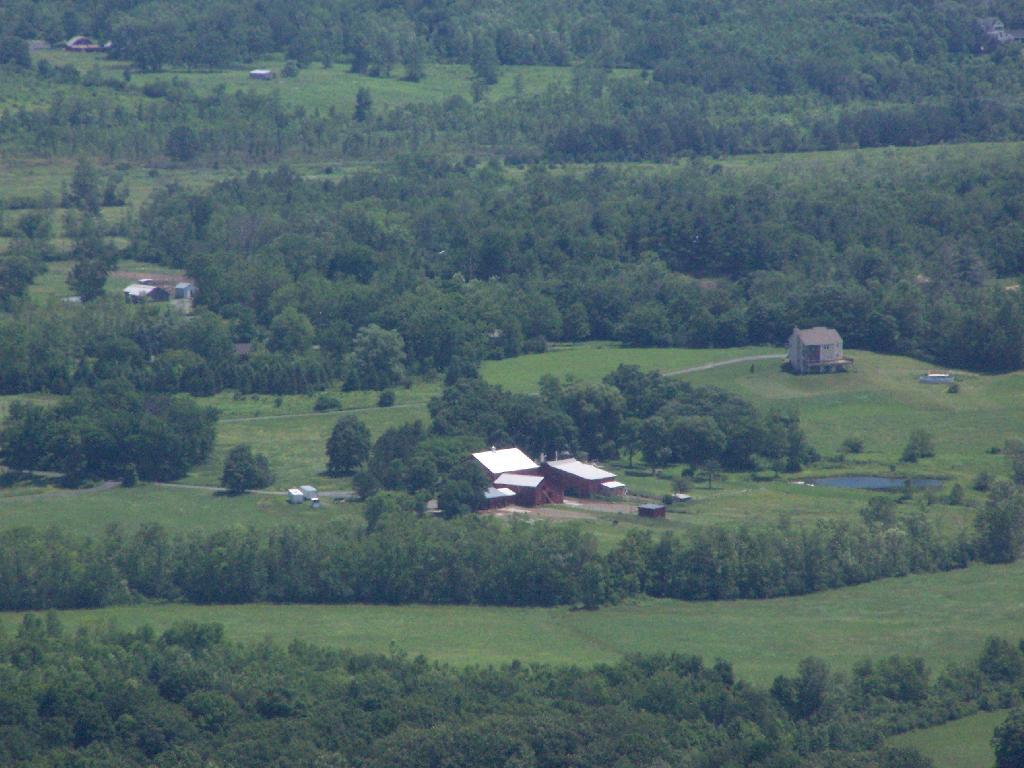 Photo: Farm in Altamont