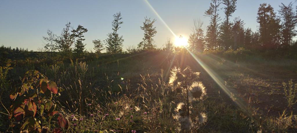 Photo: Evening