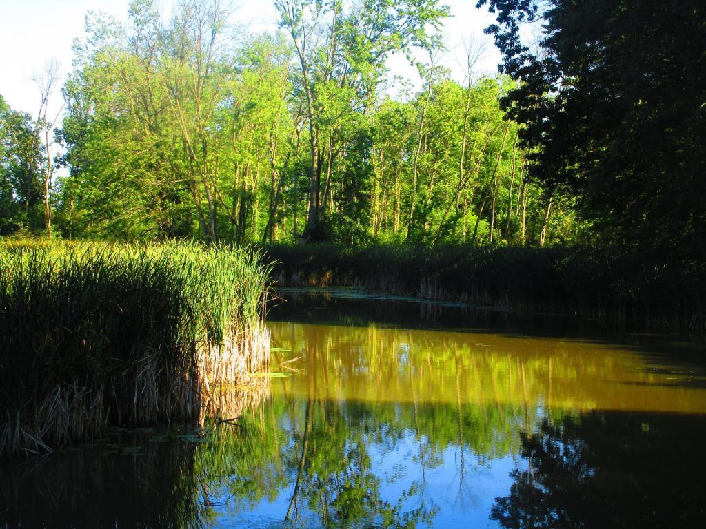 Photo: Barge Canal Backwaters