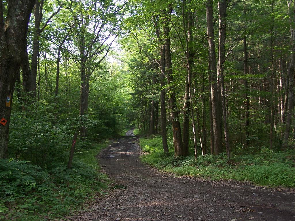 Photo: Rough Lower Section of Burnt Hill Road