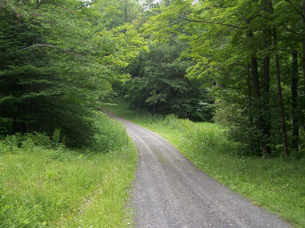 Photo: Truck Trail #6