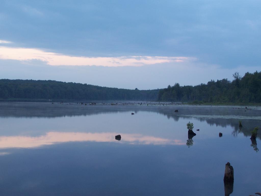 Photo: Earthern Edge of Pond Photo: Earthern Edge of Pond