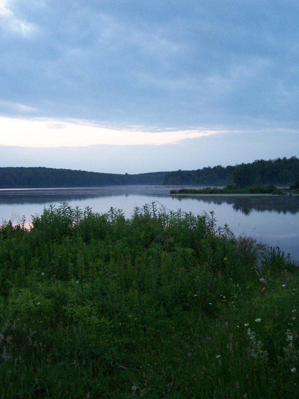 Photo: Pond