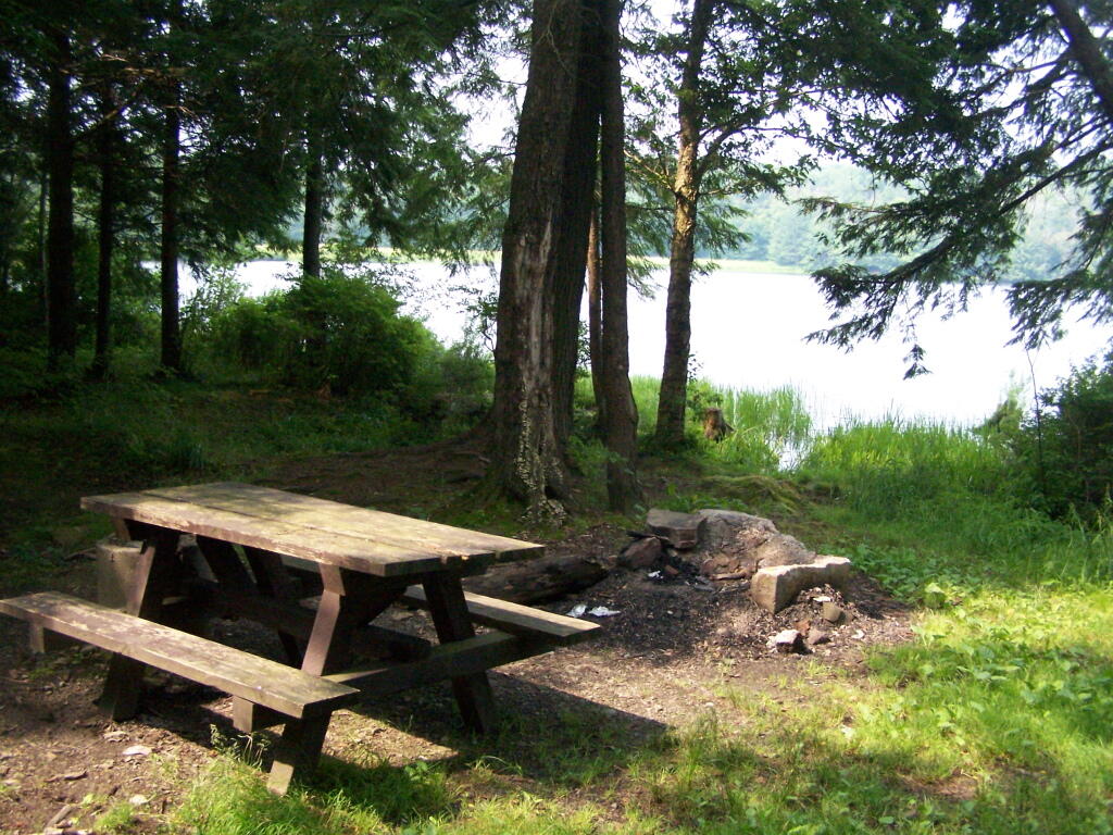 Photo: Day Use Table at Balsam Pond