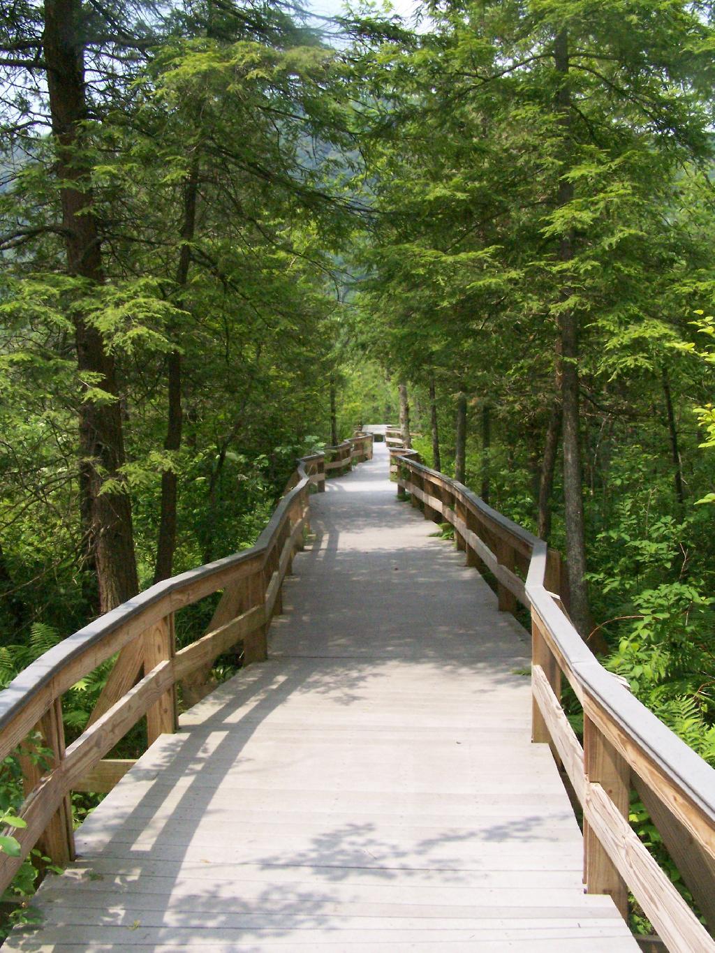 Photo: Labrador Hollow Board Walk