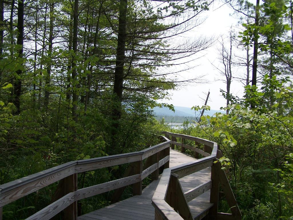 Photo: South Along Boardwalk