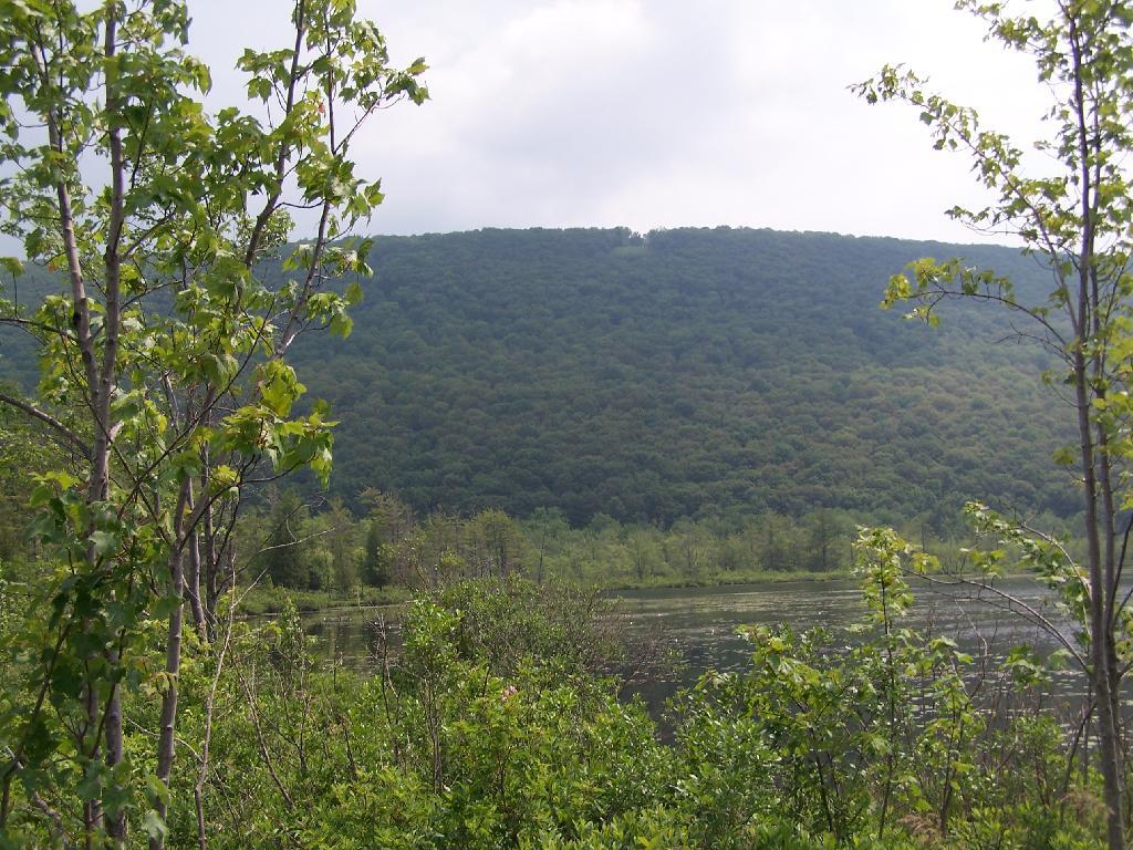 Photo: Jones Hill