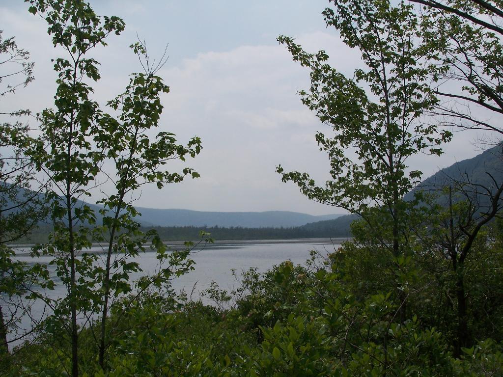 Photo: South Across Lake