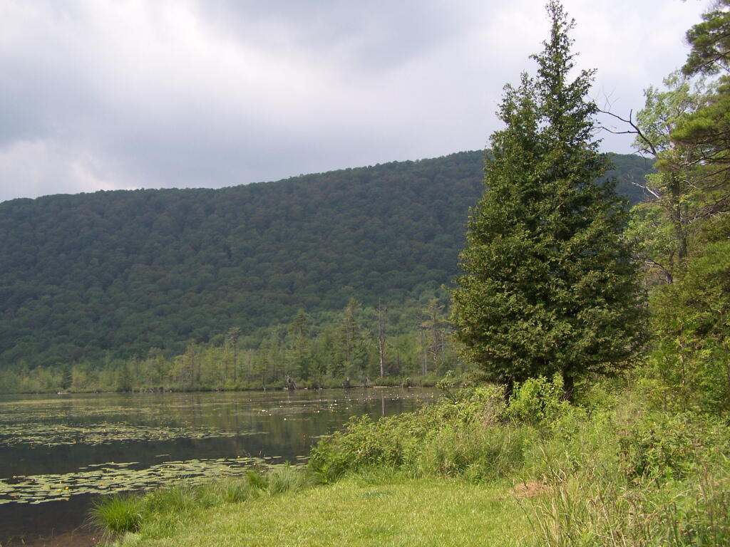 Photo: Along the Lake