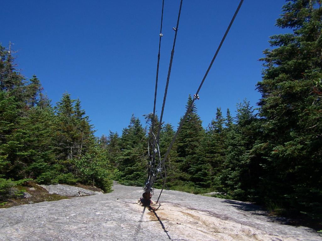 Photo: Radio Tower Tied Down