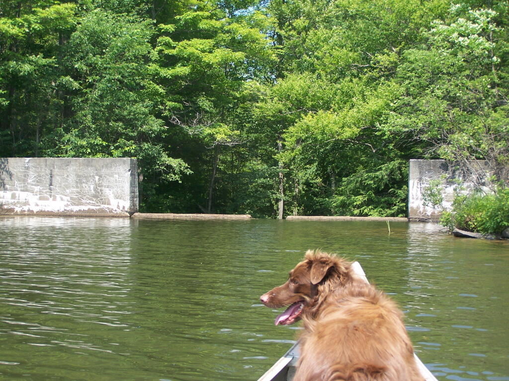 Photo: Fawn Lake Dam