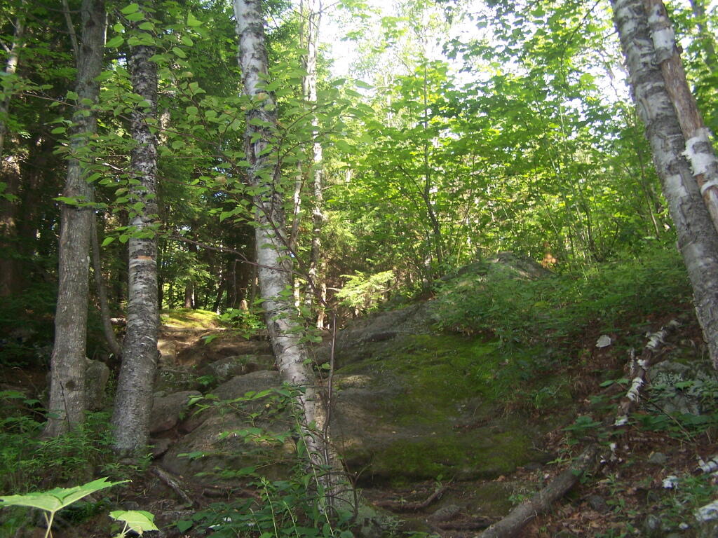 Photo: Along Trail