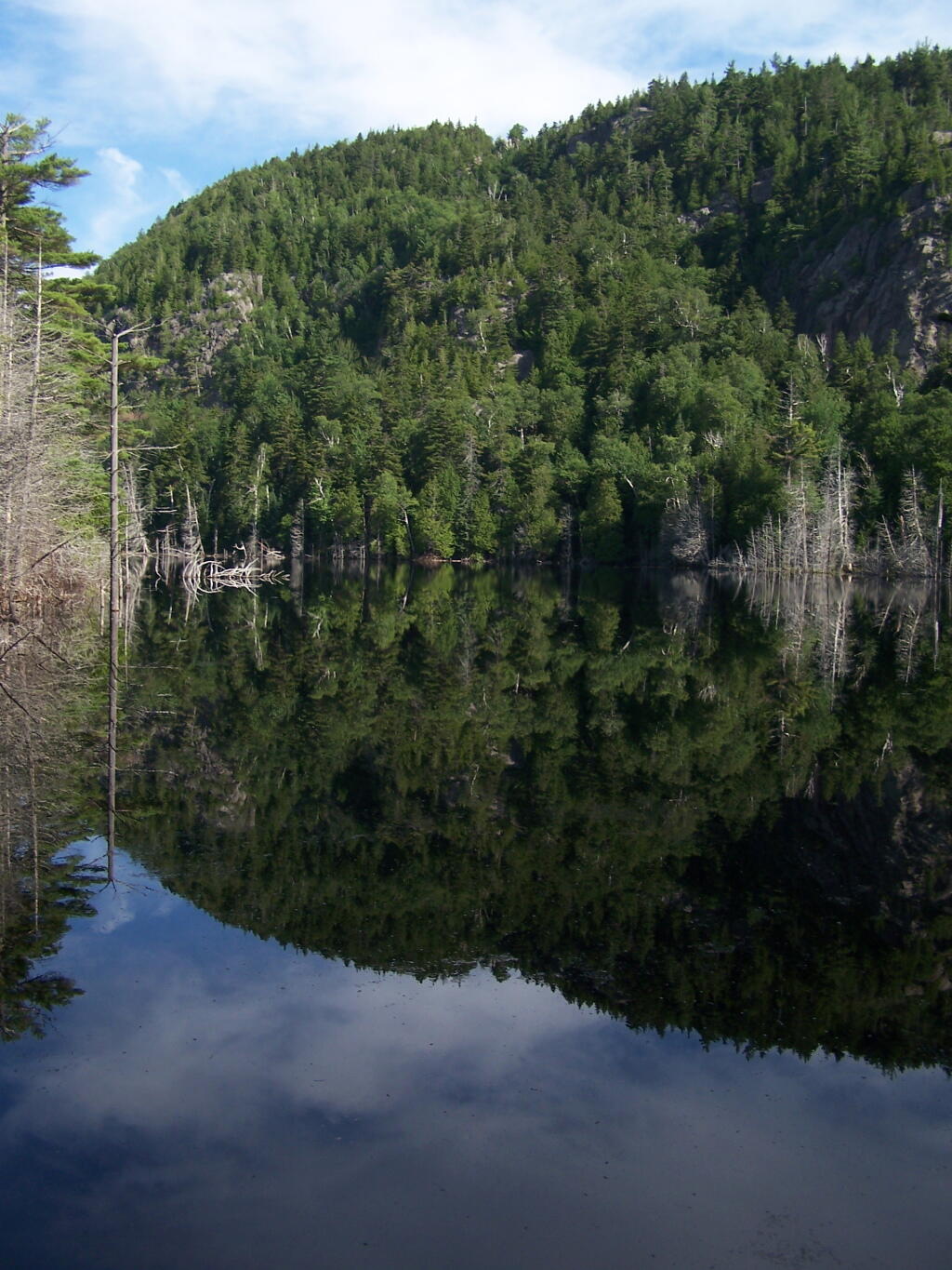 Photo: Washbowl Reflects