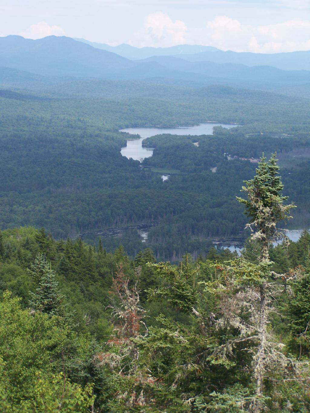 Photo: Newcomb Lake