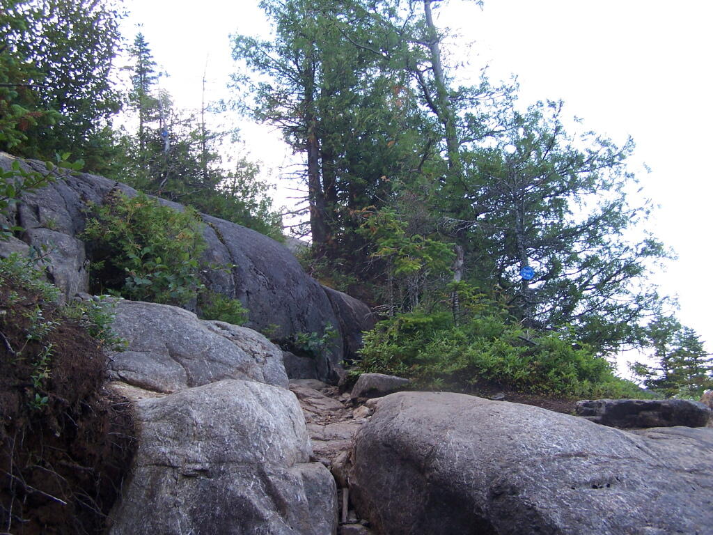 Photo: Climbing Up Rocks