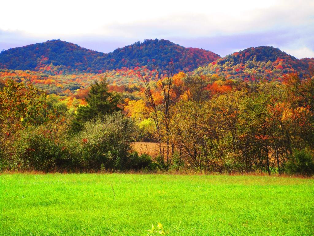 Photo: Knobly Mountan