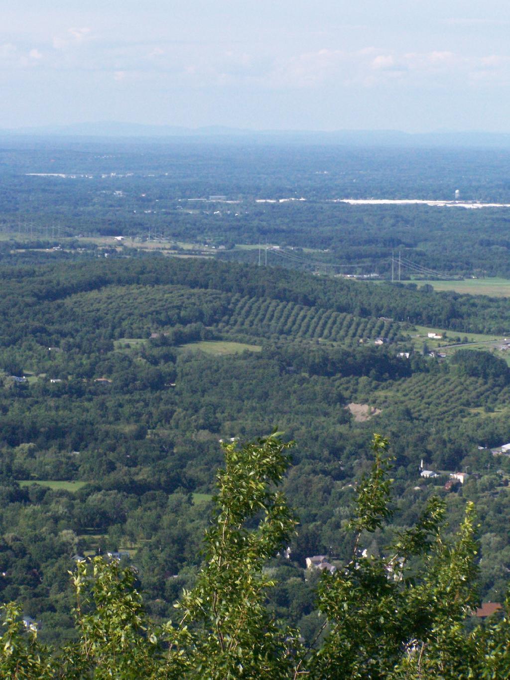 Photo: Altamont Orchards