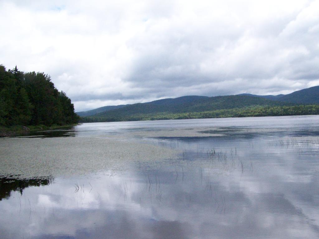 Photo: Northern End of Cedar River Flow