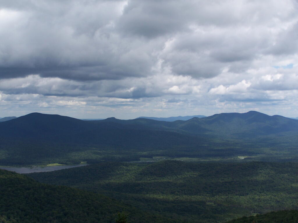 Photo: Moose River Plains Overview
