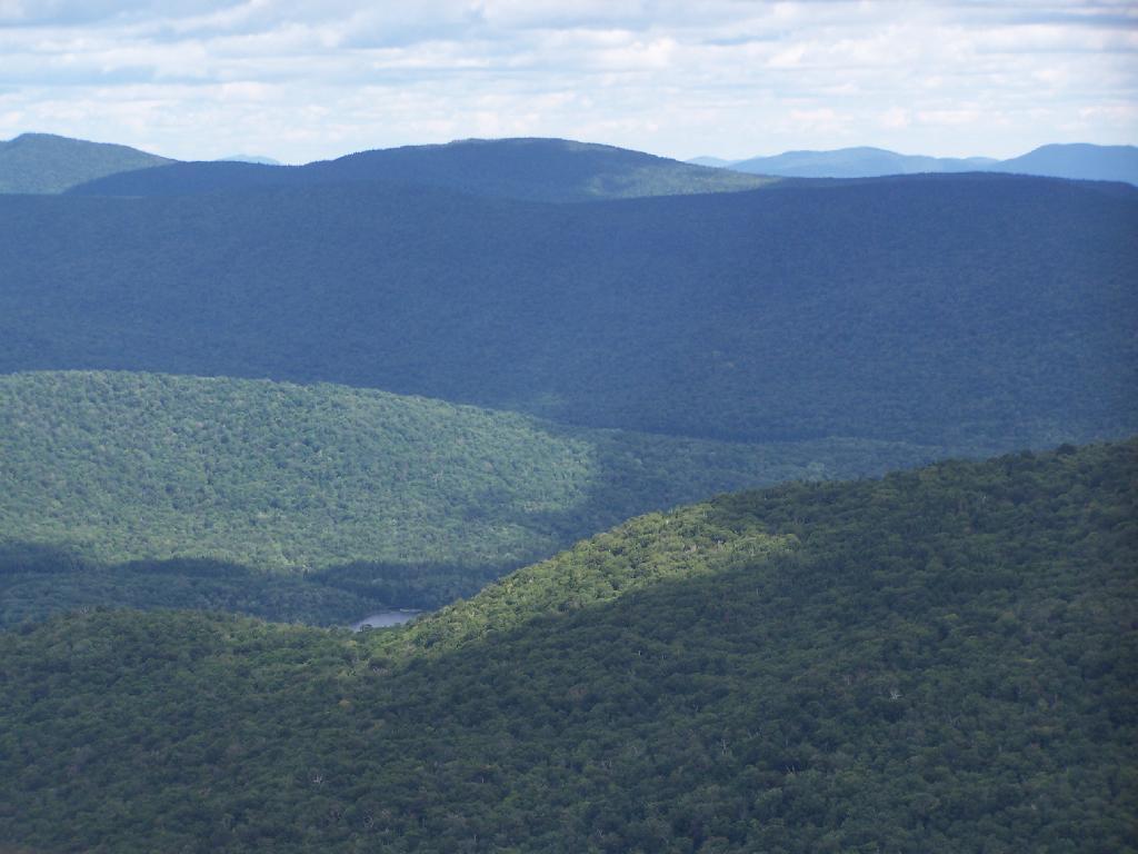 Photo: Wakley Dam