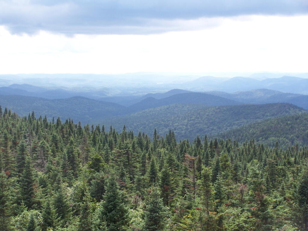 Photo: Towards Indian Lake