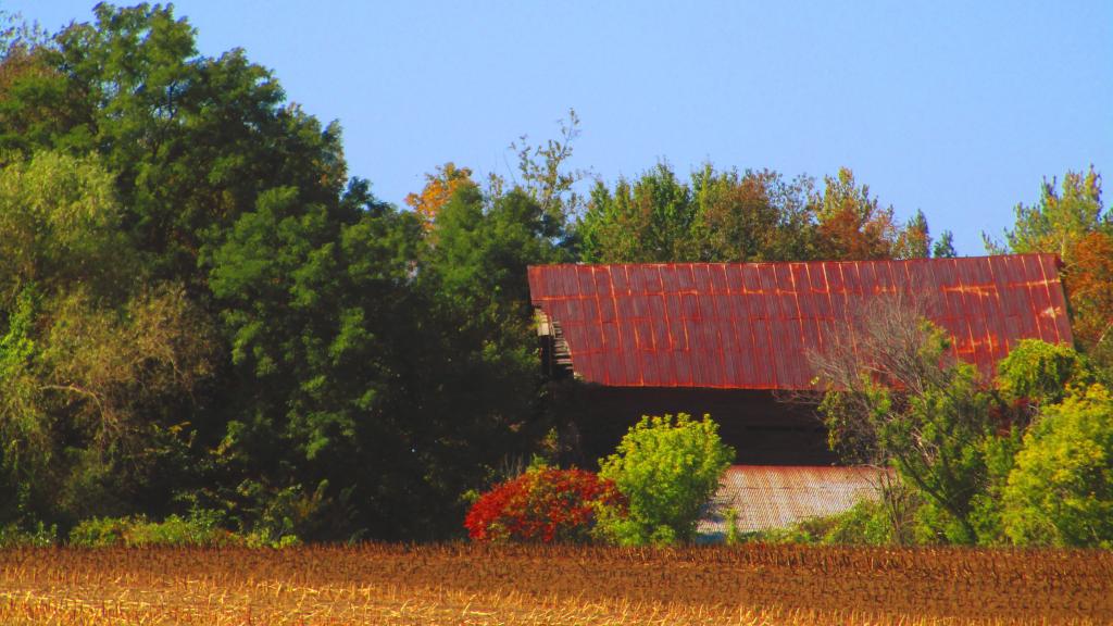 Photo: A Pungent Autumn Scene