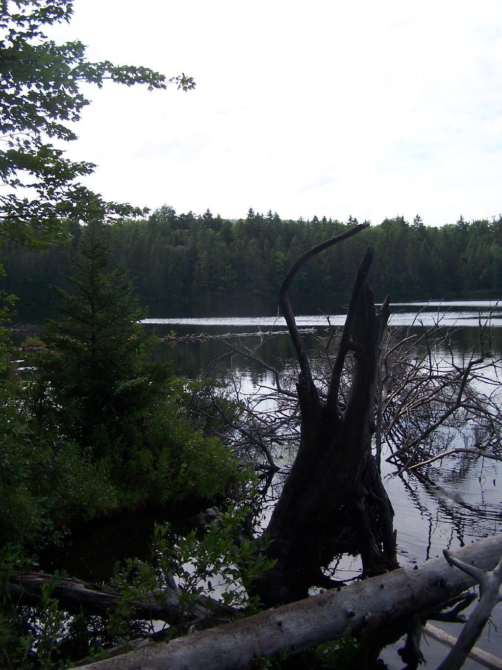 Photo: Icehouse Pond
