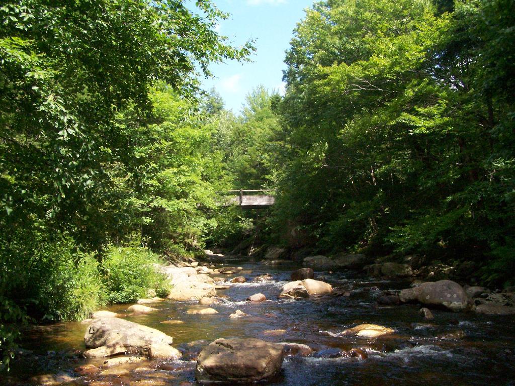 Photo: Otter Brook