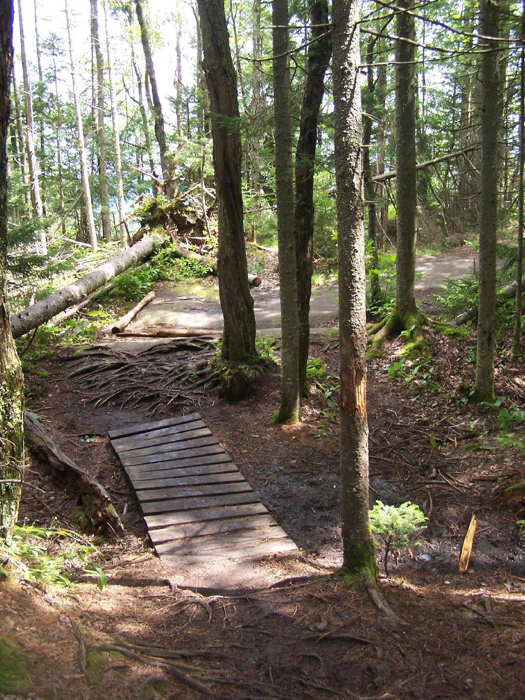 Photo: Foot Bridge