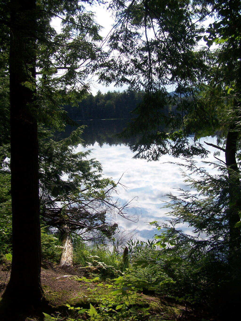 Photo: Mason Lake