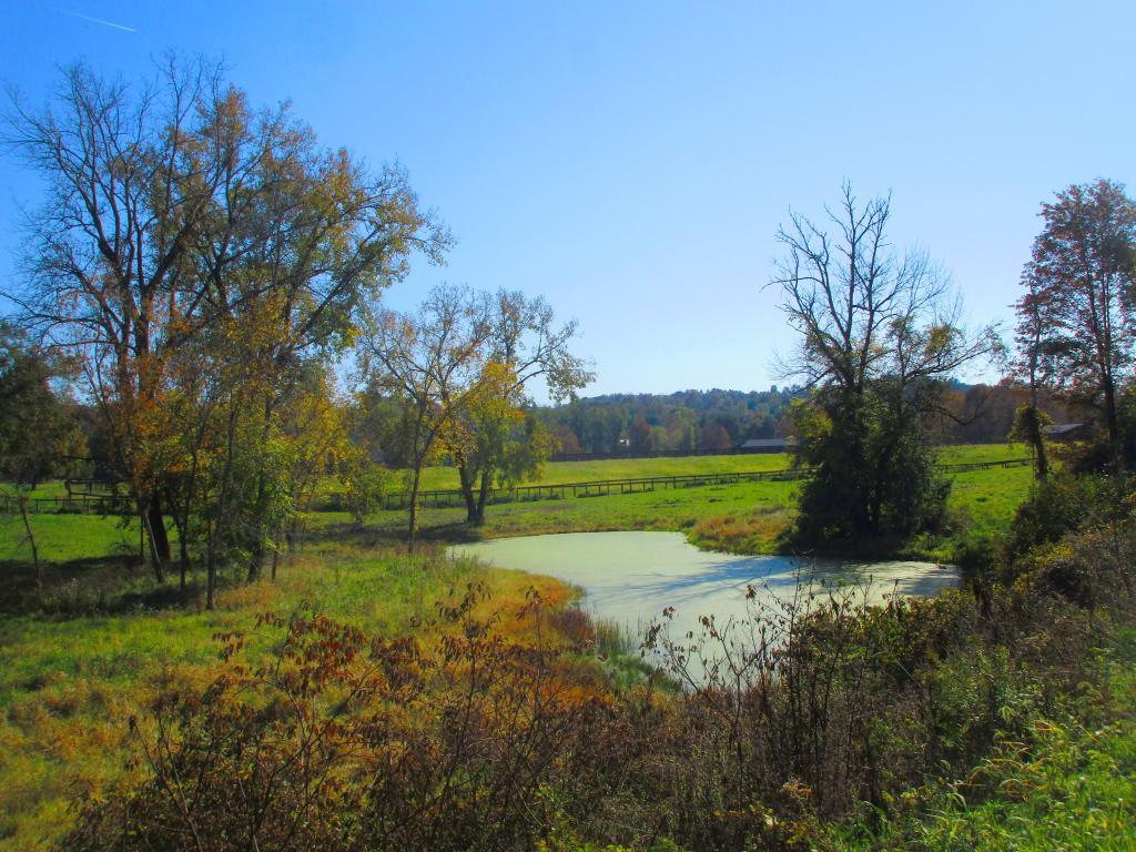 Photo: Horse Farm Along the Trail