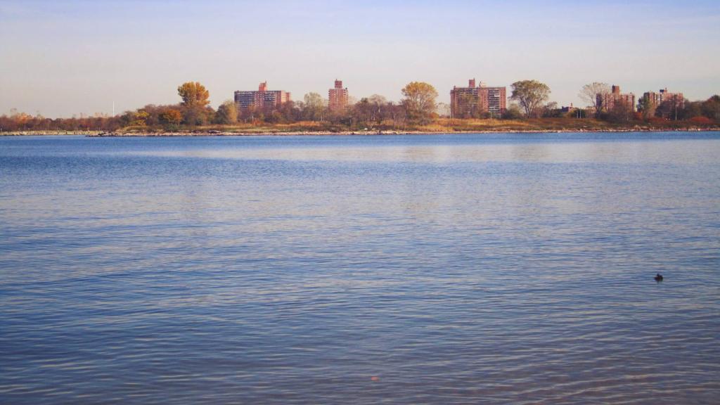 Photo: Coney Island from Shore