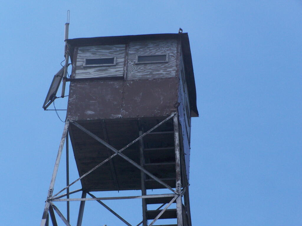 Photo: Tower Cabin