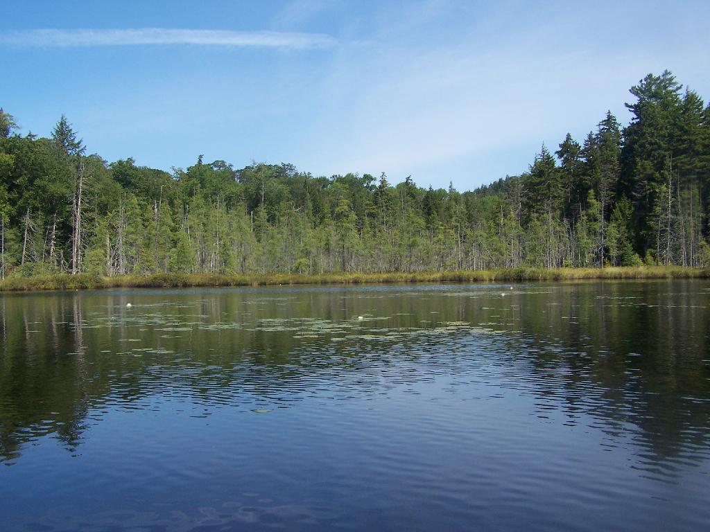 Photo: South Eastern Mason Lake