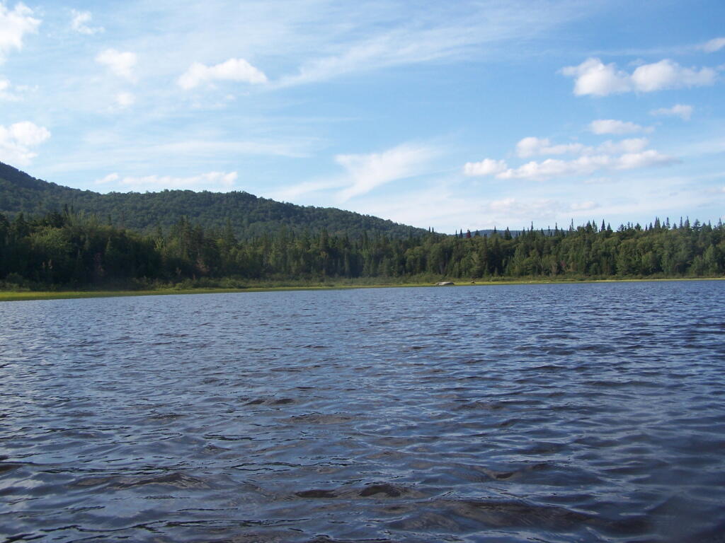 Photo: Shoreline Near Payne Brook