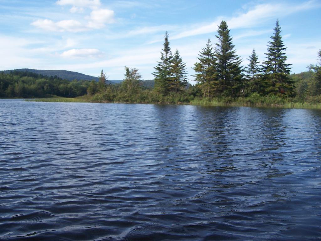 Photo: Flooded Lake