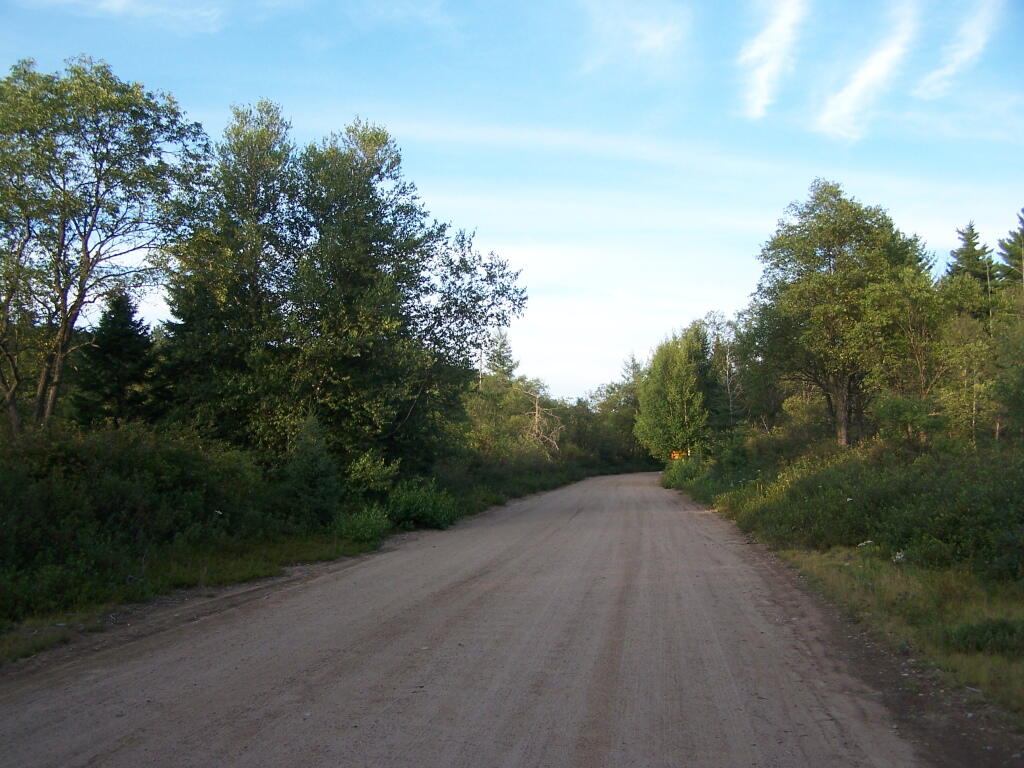 Photo: Moose River Plains Road