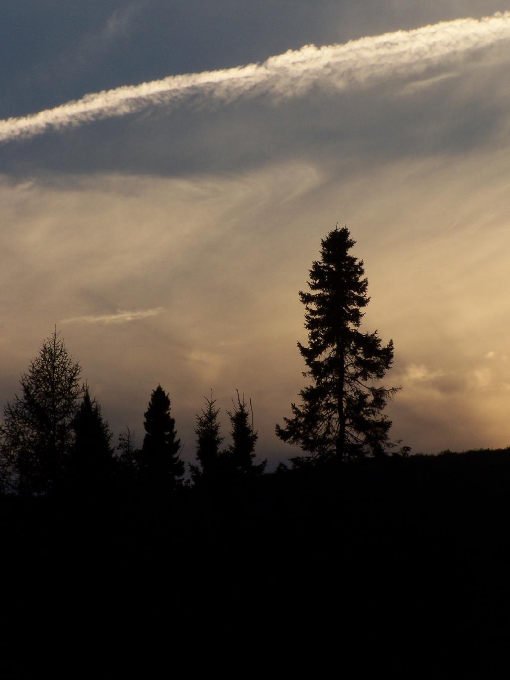 Photo: Plains After Dark