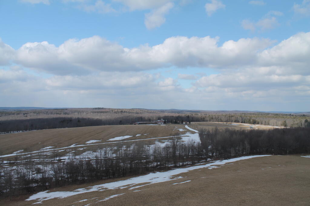 Photo: South